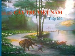 Bài giảng môn học Ngữ văn 6 - Tiết 109: Cây tre Việt Nam