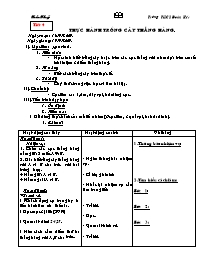 Giáo án Hình học Lớp 6 - Tiết 4: Thực hành trồng cây thẳng hàng - Năm học 2009-2010 - Trần Thủy