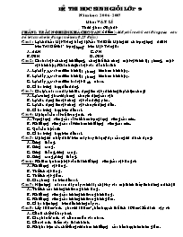 Đề thi học sinh giỏi môn Vật lí Lớp 9 - Năm học 2006-2007