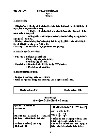 Giáo án môn Đại số Lớp 7 - Tiết 66+67: Ôn tập