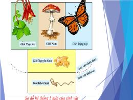 Bài giảng Khoa học tự nhiên 6 (Chân trời sáng