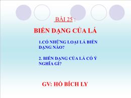 Bài giảng Sinh học 6 - Bài 25: Biến dạng của