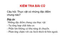 Bài giảng Sinh học 6 - Bài 4: Có phải tất cả