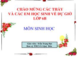 Bài giảng Sinh học 6 - Bài 48: Vai trò của th