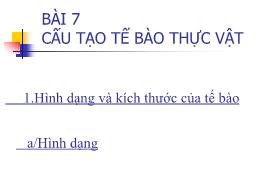 Bài giảng Sinh học 6 - Bài 7: Cấu tạo tế bào 
