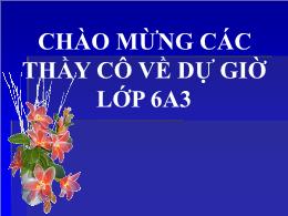 Bài giảng Toán 6 - Tiết 10: Luyện tập 1