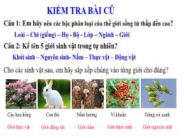 Bài giảng Khoa học tự nhiên 6 - Bài 15: Khóa