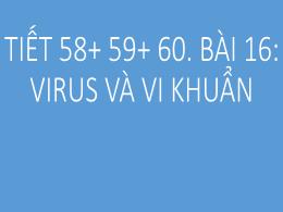Bài giảng Khoa học tự nhiên 6 - Bài 16: Virus