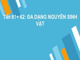 Bài giảng Khoa học tự nhiên 6 - Bài 17: Đa dạ