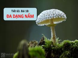 Bài giảng Khoa học tự nhiên 6 - Bài 18: Đa dạ