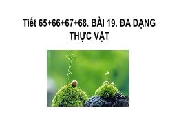 Bài giảng Khoa học tự nhiên 6 - Bài 19: Đa dạ