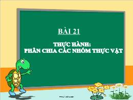 Bài giảng Khoa học tự nhiên 6 - Bài 21: Thực 