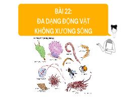 Bài giảng Khoa học tự nhiên 6 - Bài 22: Đa dạ