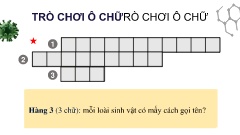 Bài giảng Khoa học tự nhiên 6 (Cánh diều) - B