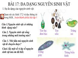 Bài giảng Khoa học tự nhiên Lớp 6 - Bài 17: Đ