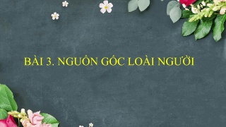 Bài giảng Lịch sử 6 (Kết nối tri thức) - Bài 
