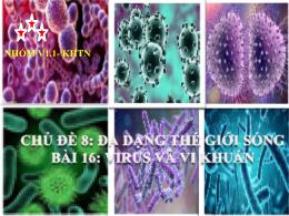 Bài giảng môn Khoa học tự nhiên 6 - Chủ đề 8:
