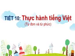 Bài giảng Ngữ văn 6 - Thực hành tiếng Việt (T