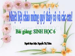 Bài giảng Sinh học 6 - Bài 46: Thực vật góp p