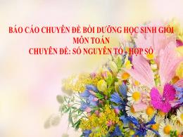 Báo cáo Chuyên đề bồi dưỡng HSG môn Toán 6 - 